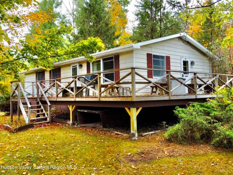 Photo of 31 Garfield Avenue, Hunter, NY 12442 (MLS # 20254720)