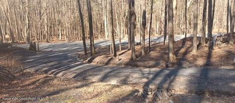 Vacant Land For Sale - 786 Route 41<br/> Greene County, Cairo, NY 12413