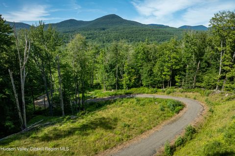 Vacant Land For Sale - 465 Sickler Road<br/> Ulster County, Willow, NY 12495