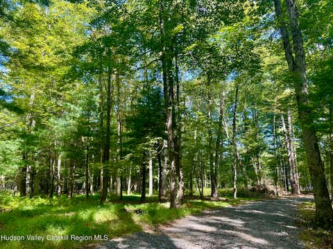 Vacant Land For Sale - 758 County Route 6<br/> High Falls, NY 12440
