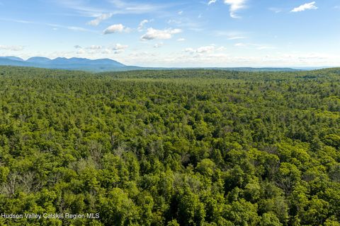 Vacant Land For Sale - 414 Buck Road<br/> Ulster County, Stone Ridge, NY 12484