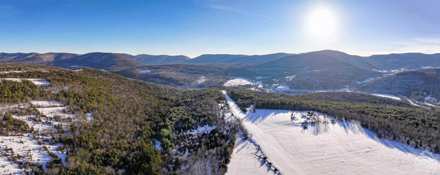Property for Sale at 6684 Route 23C, Lexington, New York -  - $12,000,000