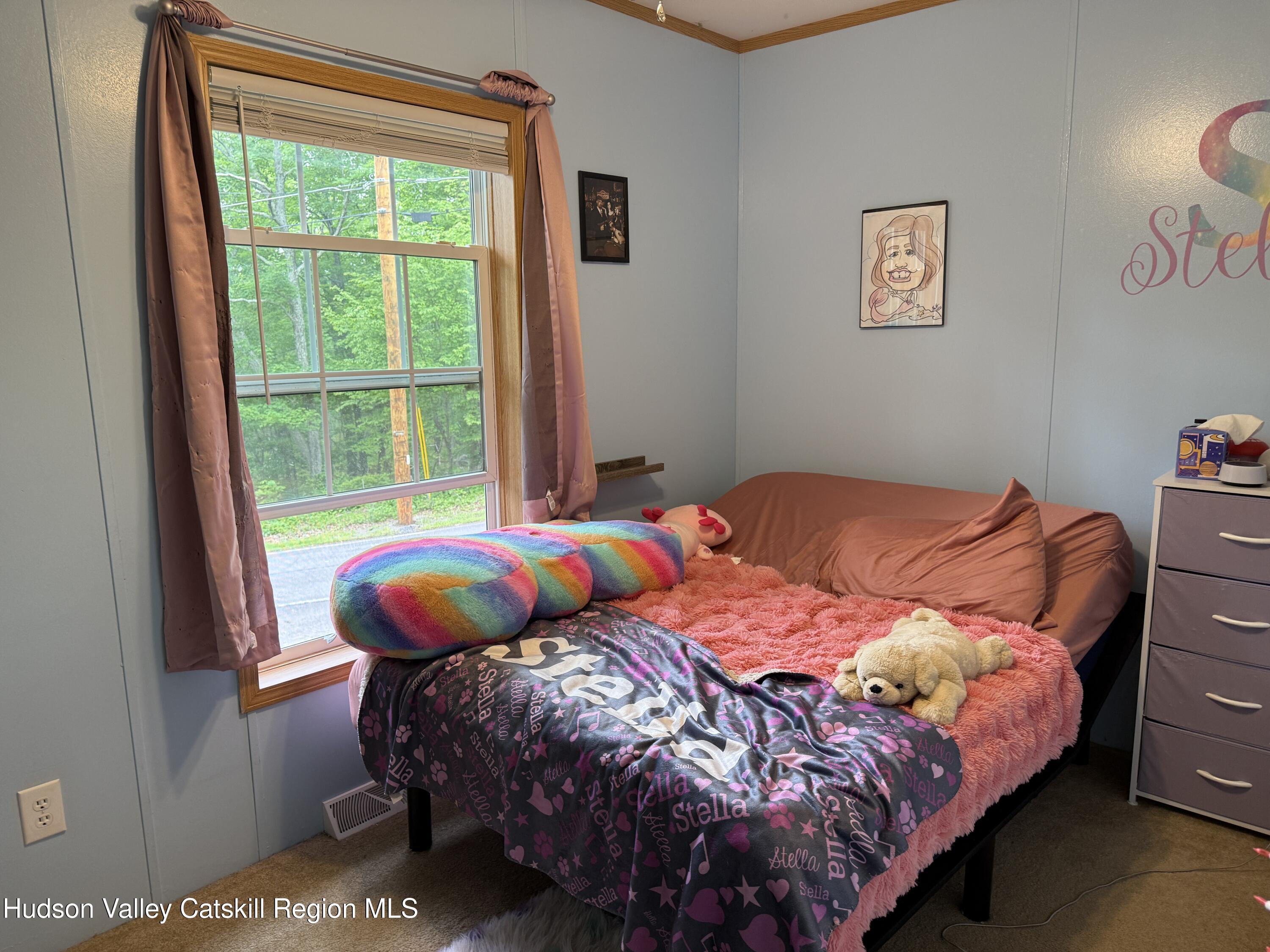 131 W Rymrock Road, Kingston, New Mexico image 14