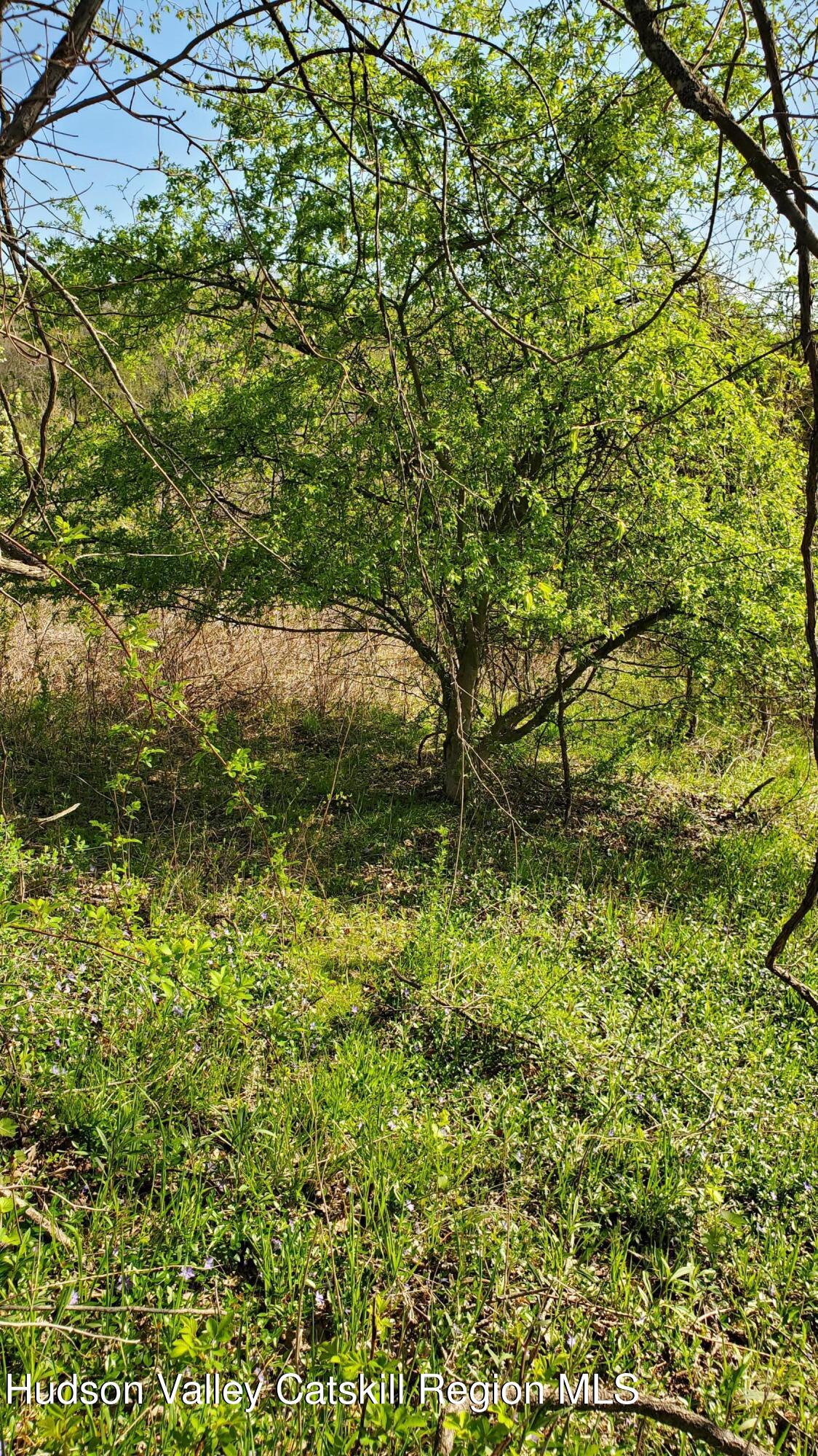 Tbd Boice Mill Road, Kerhonkson, Texas image 3
