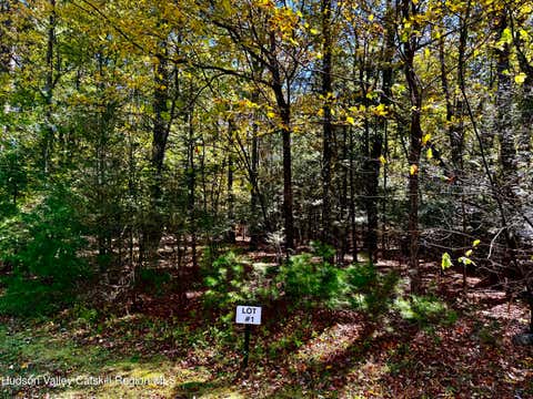 Vacant Land For Sale - 49 Falling Waters Drive Drive<br/> Greene County, Palenville, NY 12463
