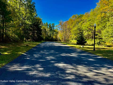 Vacant Land For Sale - 49 Falling Waters Drive Drive<br/> Palenville, NY 12463