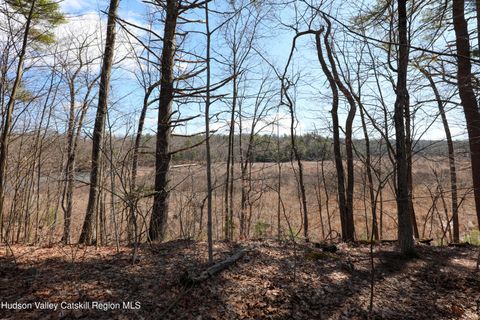 Vacant Land For Sale - 176 Lake Road<br/> Lake Katrine, NY 12449