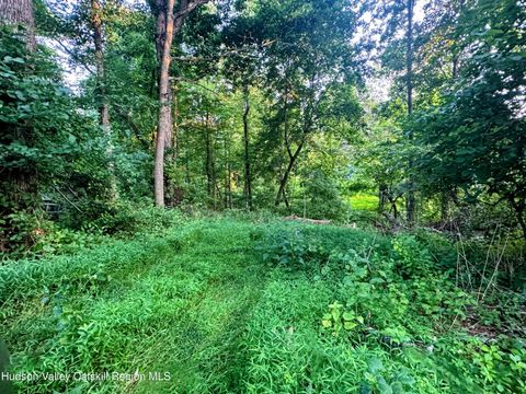 Vacant Land For Sale - 20 Pine Road<br/> Elizaville, NY 12523