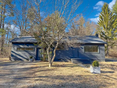 Photo of 22 Riseley Road, Mount Tremper, NY 12457 (MLS # 20260806)