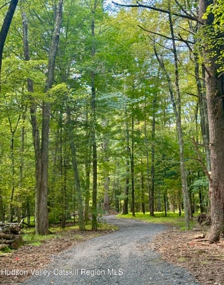 763 COUNTY ROUTE 6, HIGH FALLS, NY 12440 - Image f7dd8e31aa4dfdbe0955b75ec5be13dc/181643960
