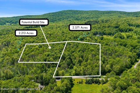 Vacant Land For Sale - LOTS 8 11 Henry Williams Road<br/> Roxbury, NY 12474