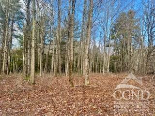 611 Old Road, Windham, New York image 5