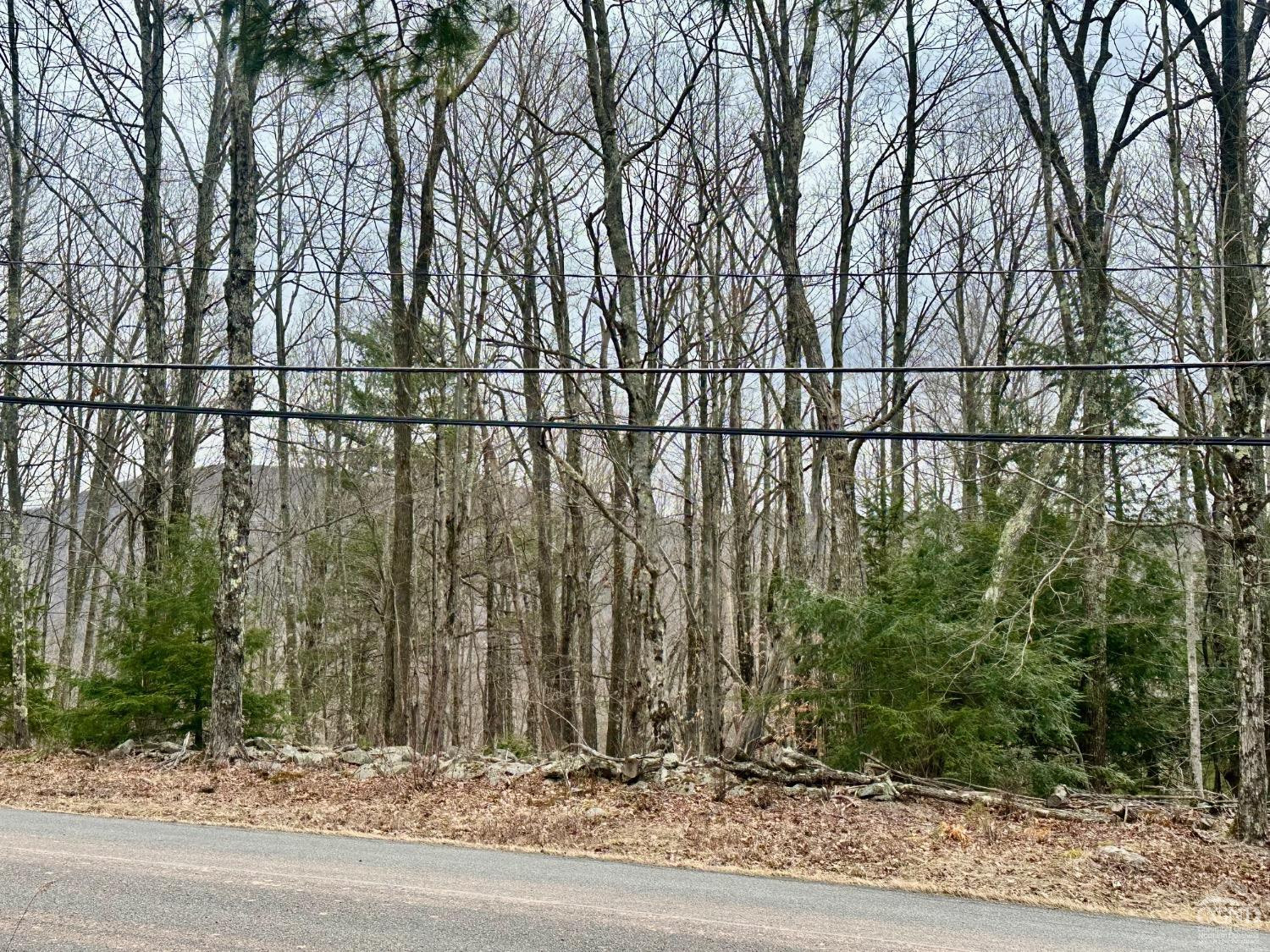 611 Old Road, Windham, New York image 2
