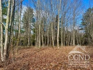611 Old Road, Windham, New York image 6