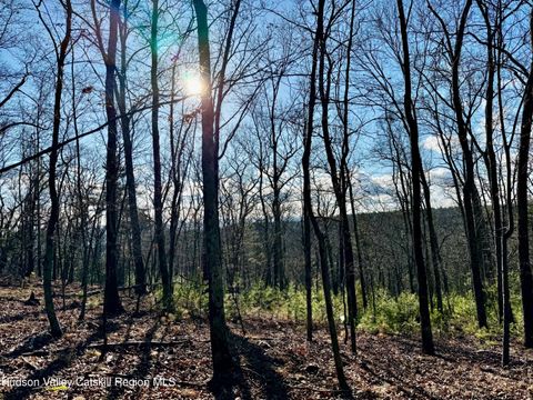 Vacant Land For Sale - 00 Dug Hill Road<br/> Hurley, NY 12443