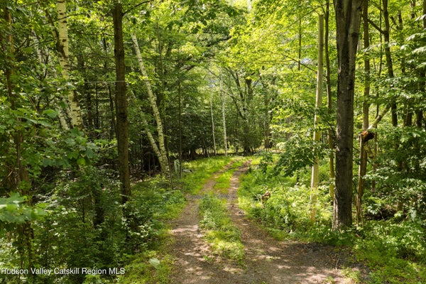 35 MOUNTAIN VALLEY RD, BOICEVILLE, NY 12412 - Image fbb5bd7ada16a30b400a17530c9d8602/1950592800