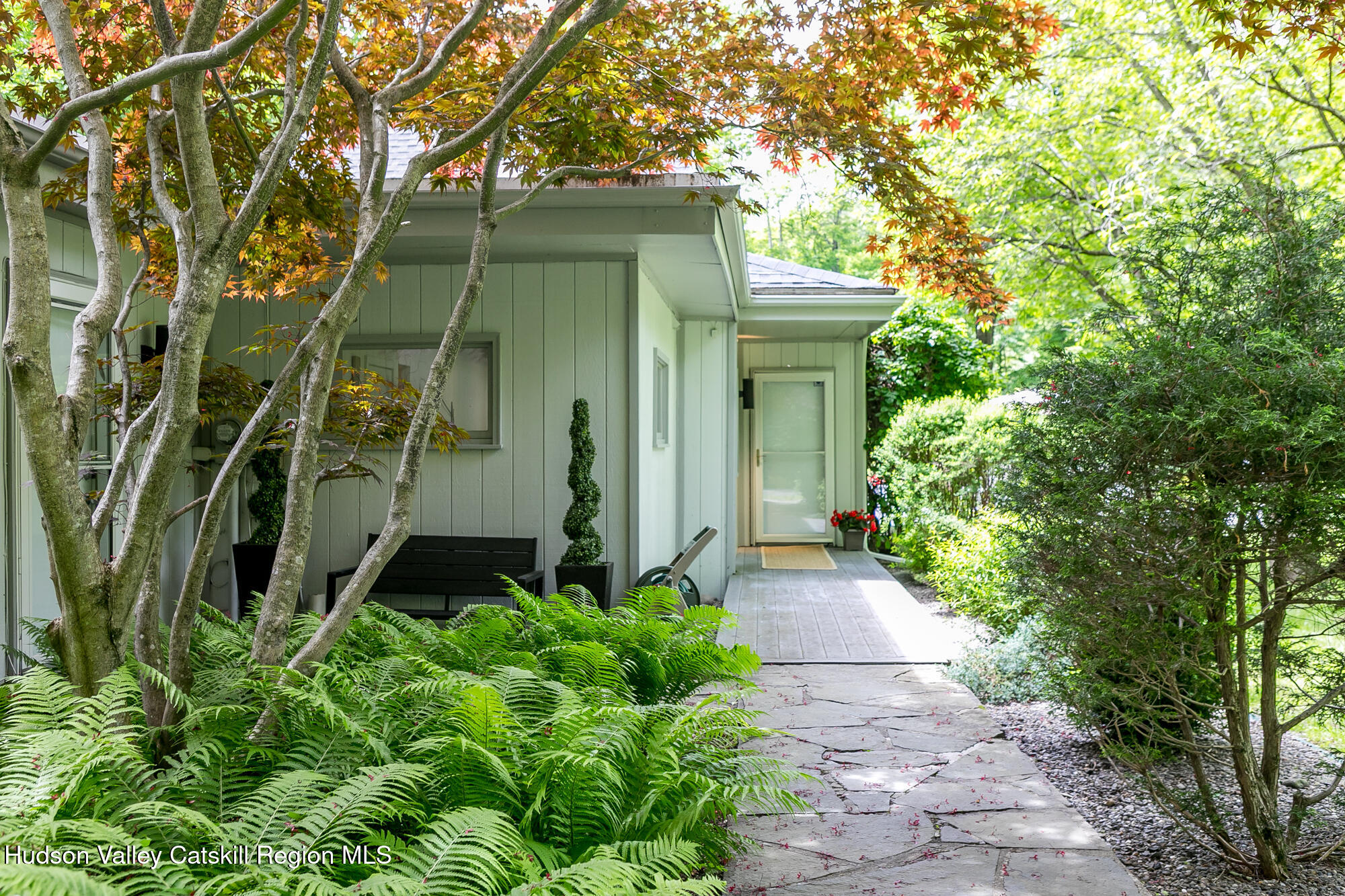 35 Abbey Road, Woodstock, Texas image 3