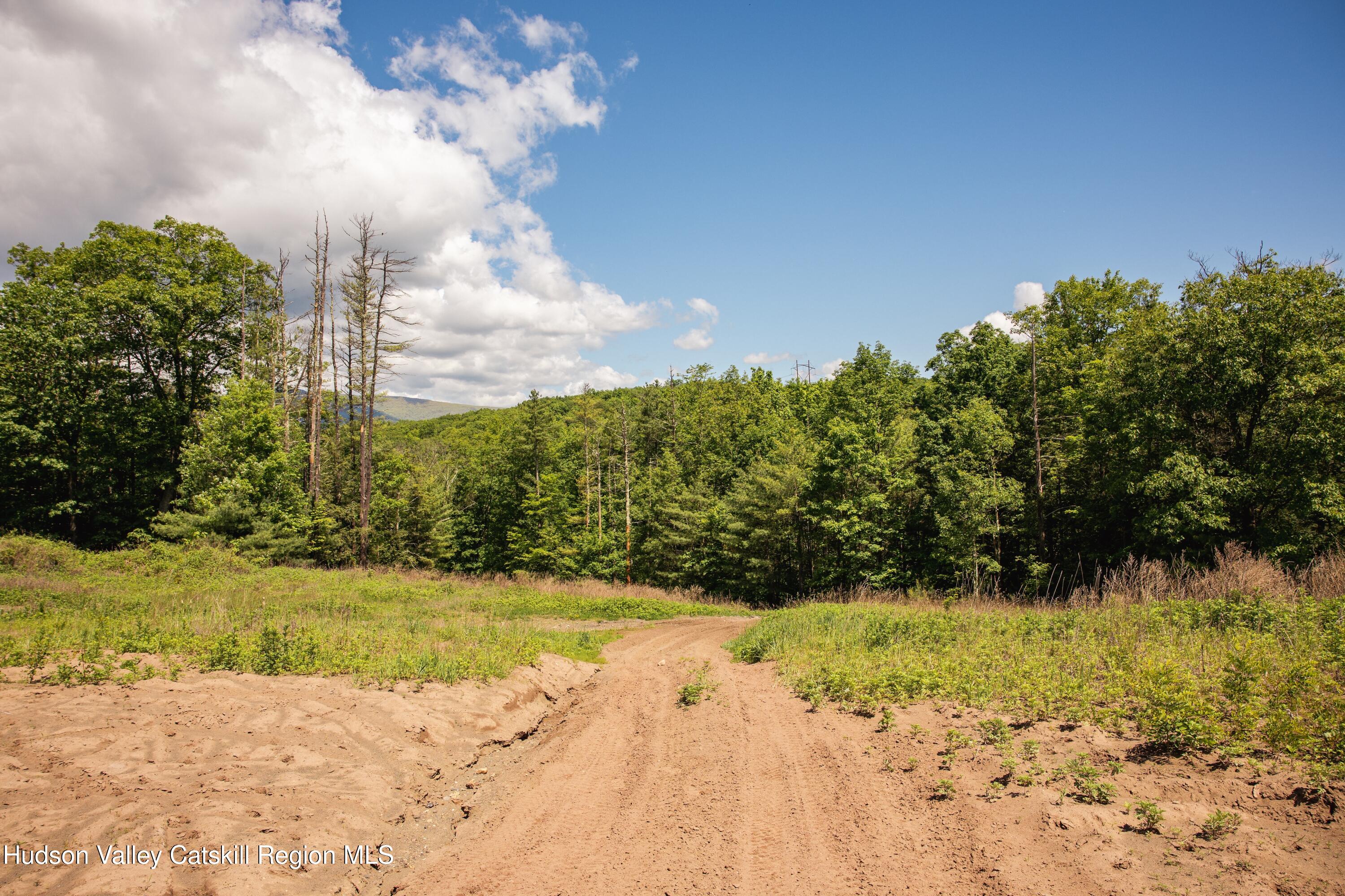 Tbd W Route 212 Drive, Saugerties, New Mexico image 21