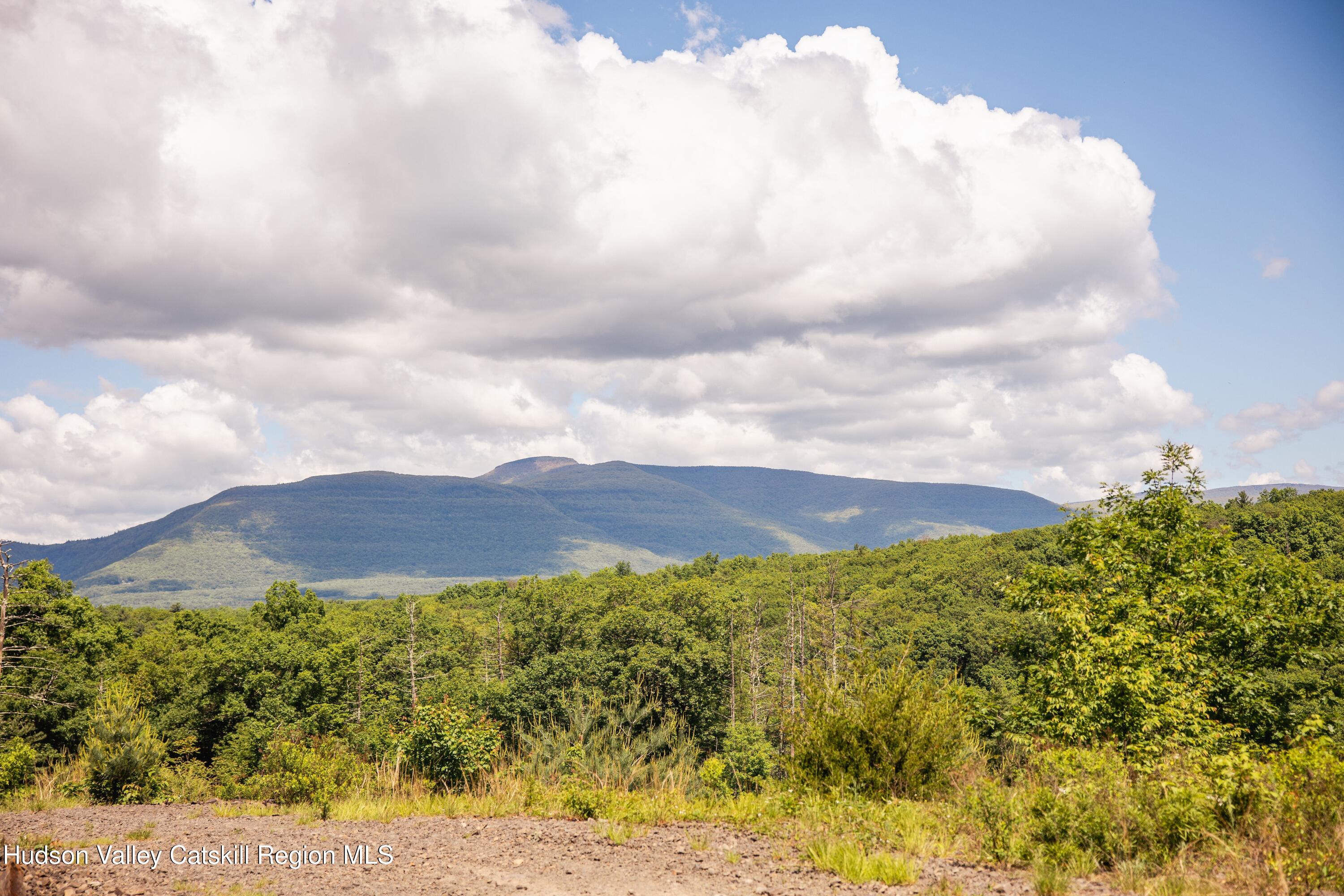 Tbd W Route 212 Drive, Saugerties, New Mexico image 1