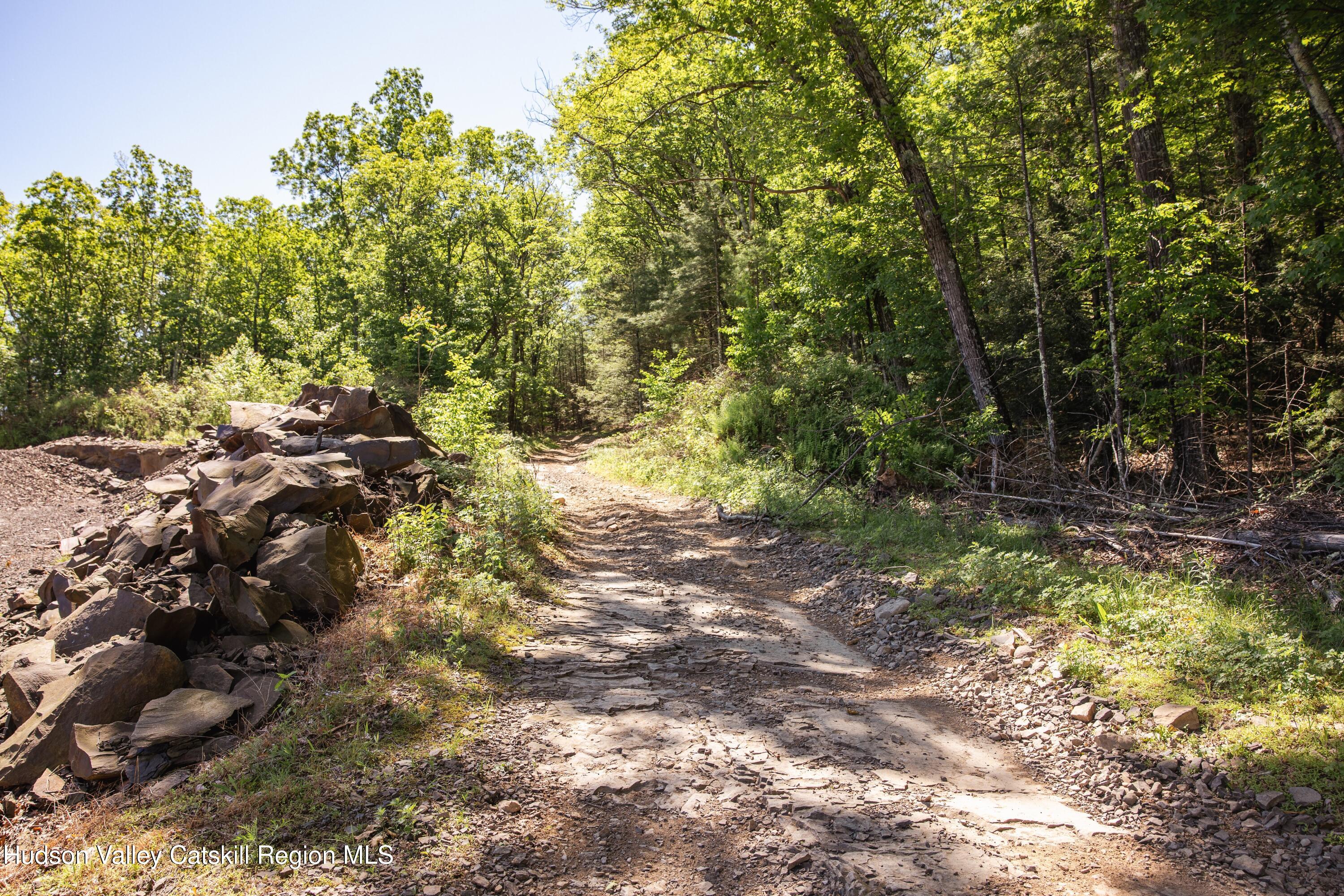Tbd W Route 212 Drive, Saugerties, New Mexico image 11
