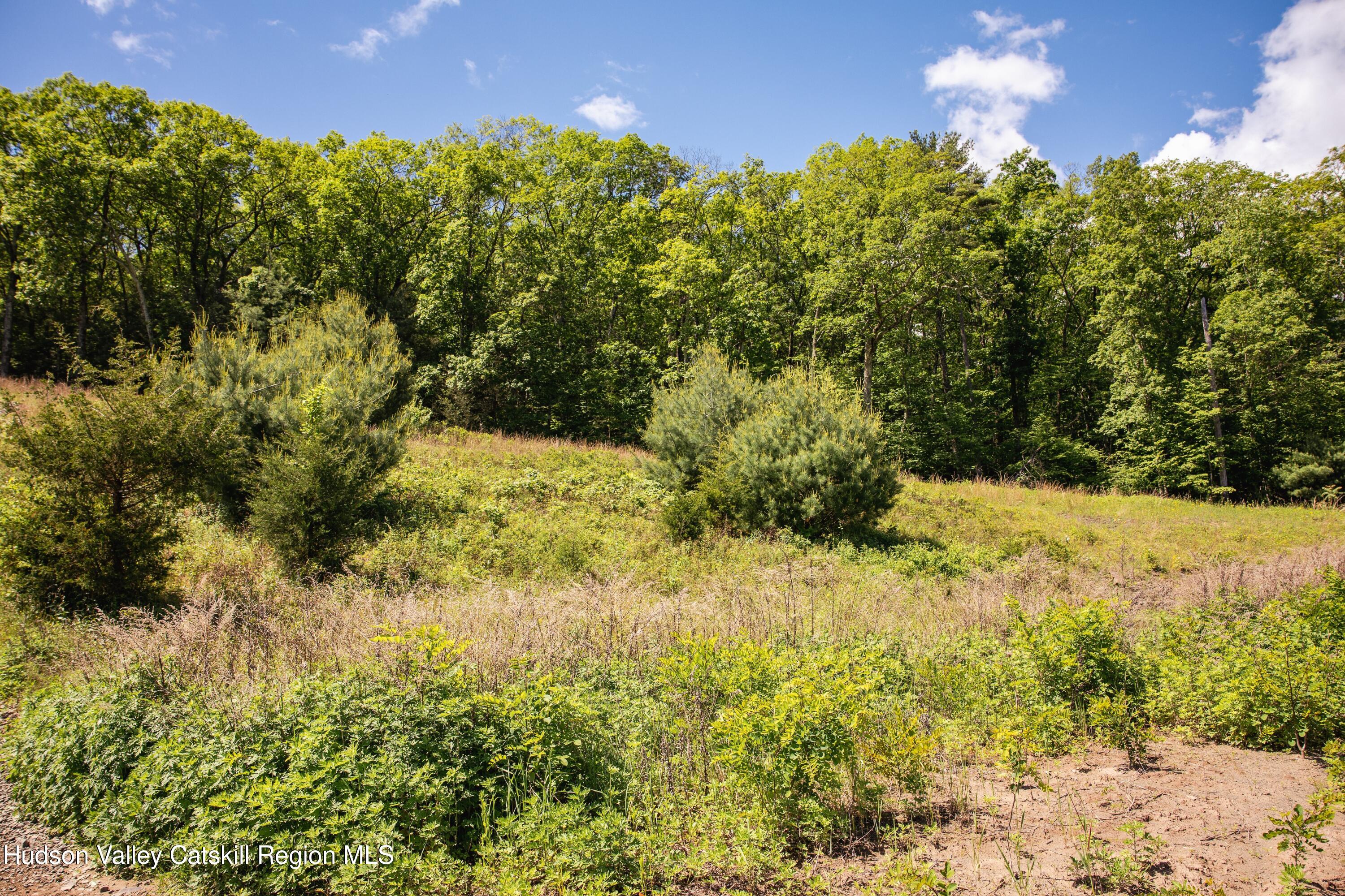 Tbd W Route 212 Drive, Saugerties, New Mexico image 20