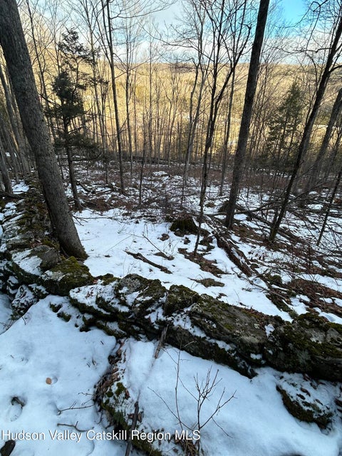 Vacant Land For Sale - Kelly Corners-denver-vega Road<br/> Margaretville, NY 12455