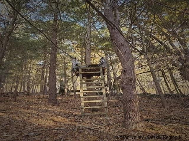 128 Seven Spike Lane, Middleburgh, New York image 25