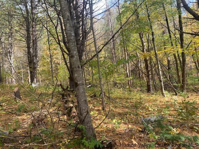 128 Seven Spike Lane, Middleburgh, New York image 24
