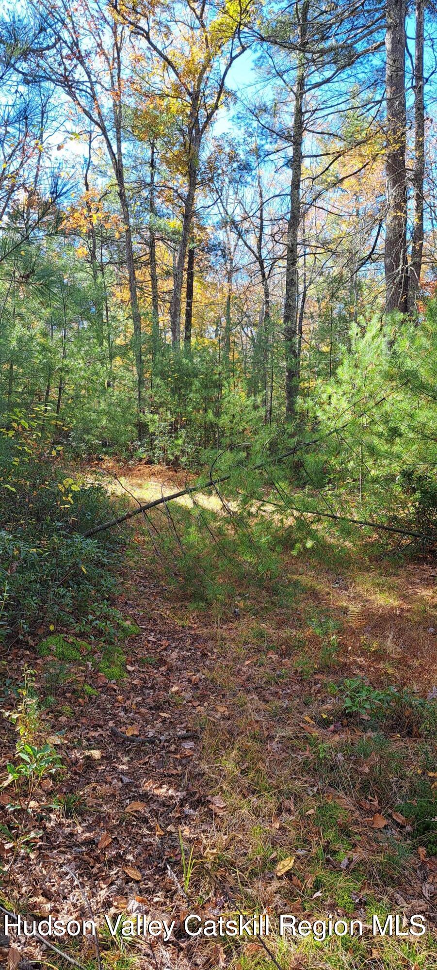 179 Bennette Road, Napanoch, New York image 8