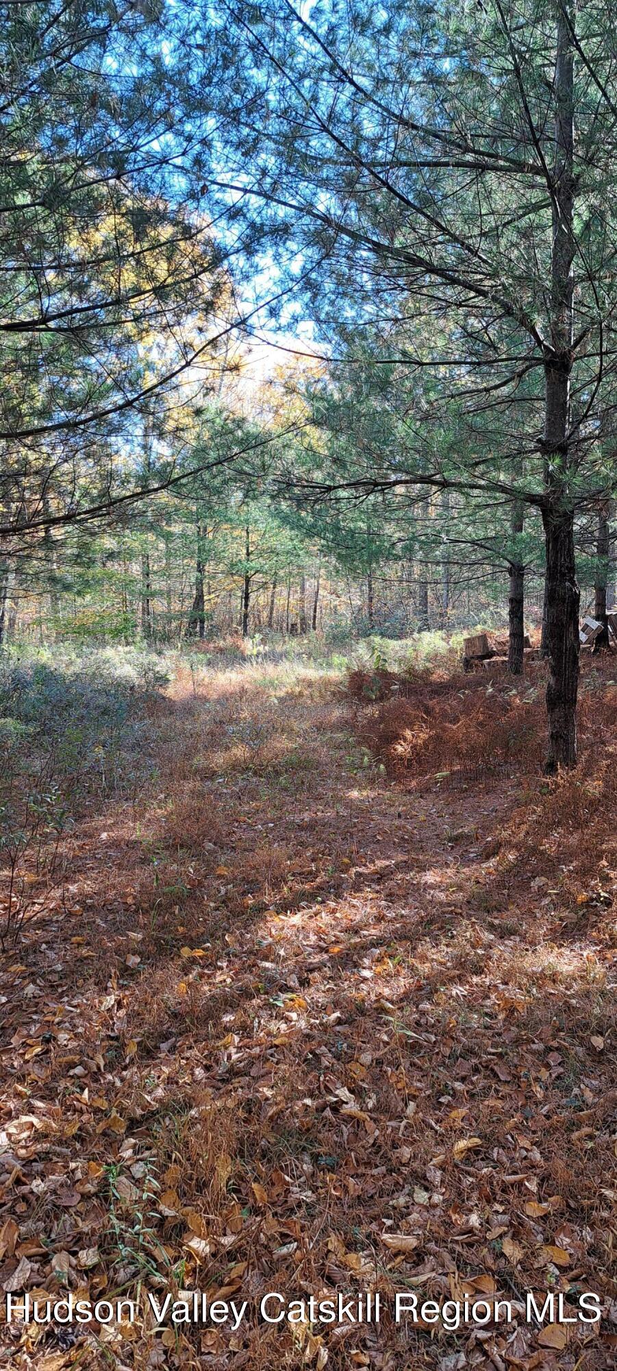 179 Bennette Road, Napanoch, New York image 5