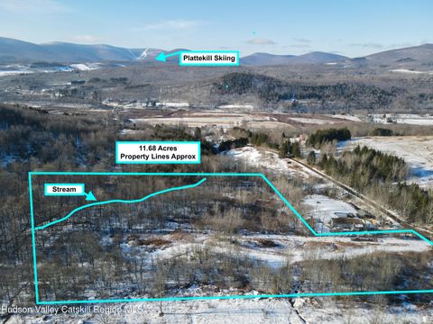 Vacant Land For Sale - 480 Hall Road<br/> Delaware County, Roxbury, NY 12474