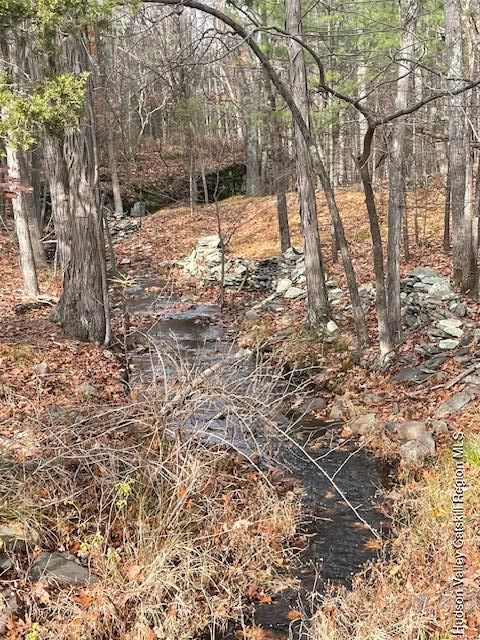 Vacant Land For Sale - 00 Schoharie Turnpike<br/> Greenville, NY 12083