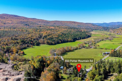 Photo of 650 Potter Mountain Road, Gilboa, NY 12076 (MLS # 20266086)