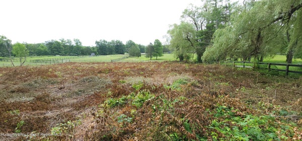 371 CHURCHLAND RD, SAUGERTIES, NY 12477 - Image fe1f2bc1104f6859cd1f96d3e7877590/2885483923
