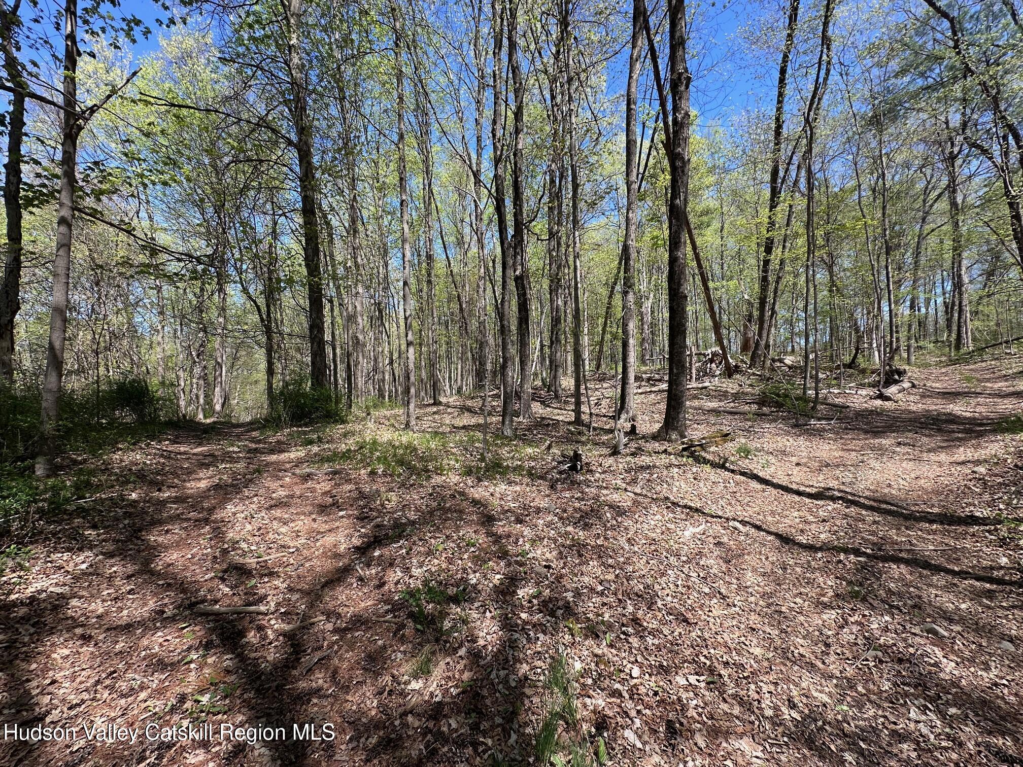 Tbd Peoples Rd, Saugerties, Texas image 3