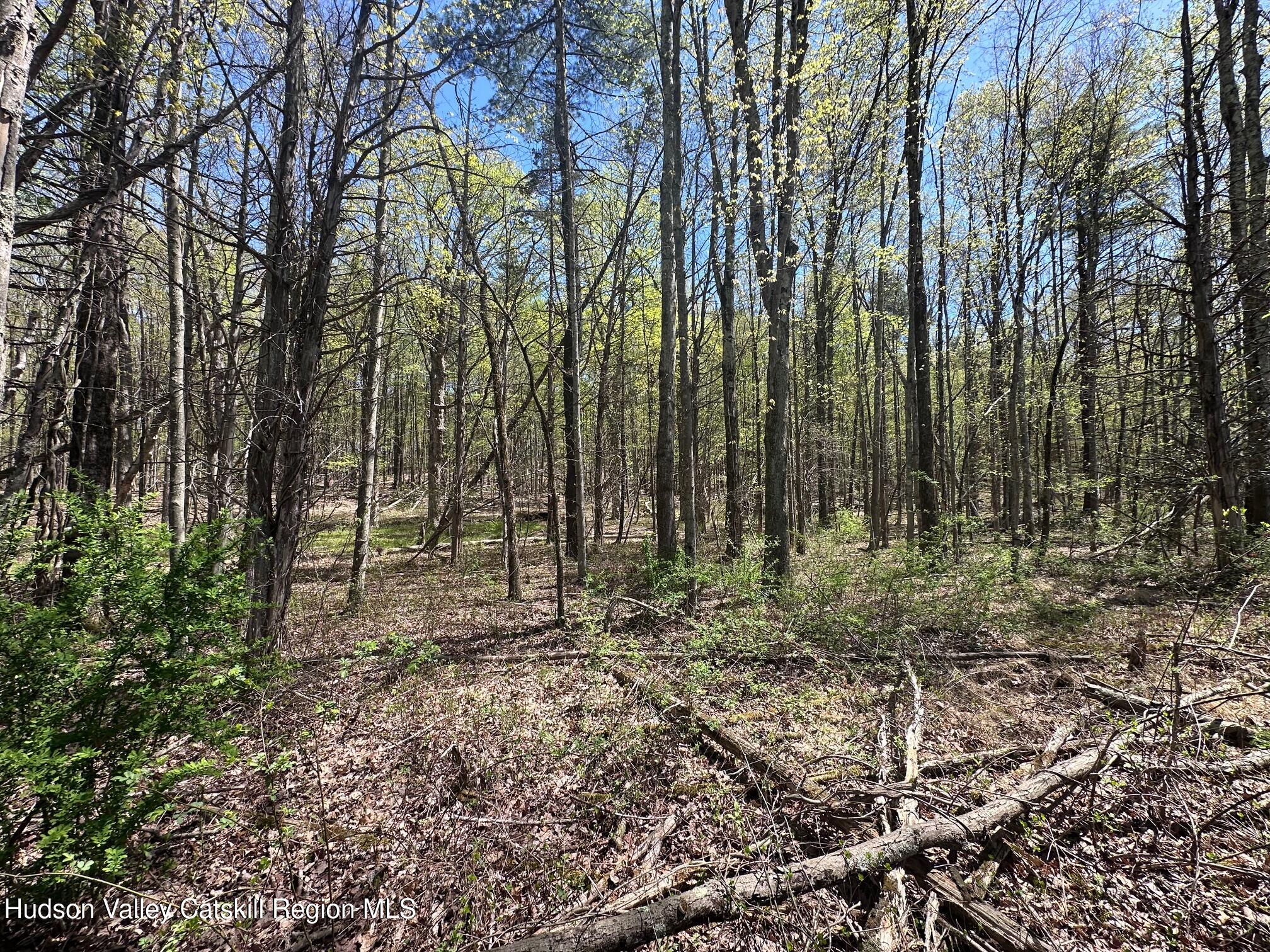 Tbd Peoples Rd, Saugerties, Texas image 5