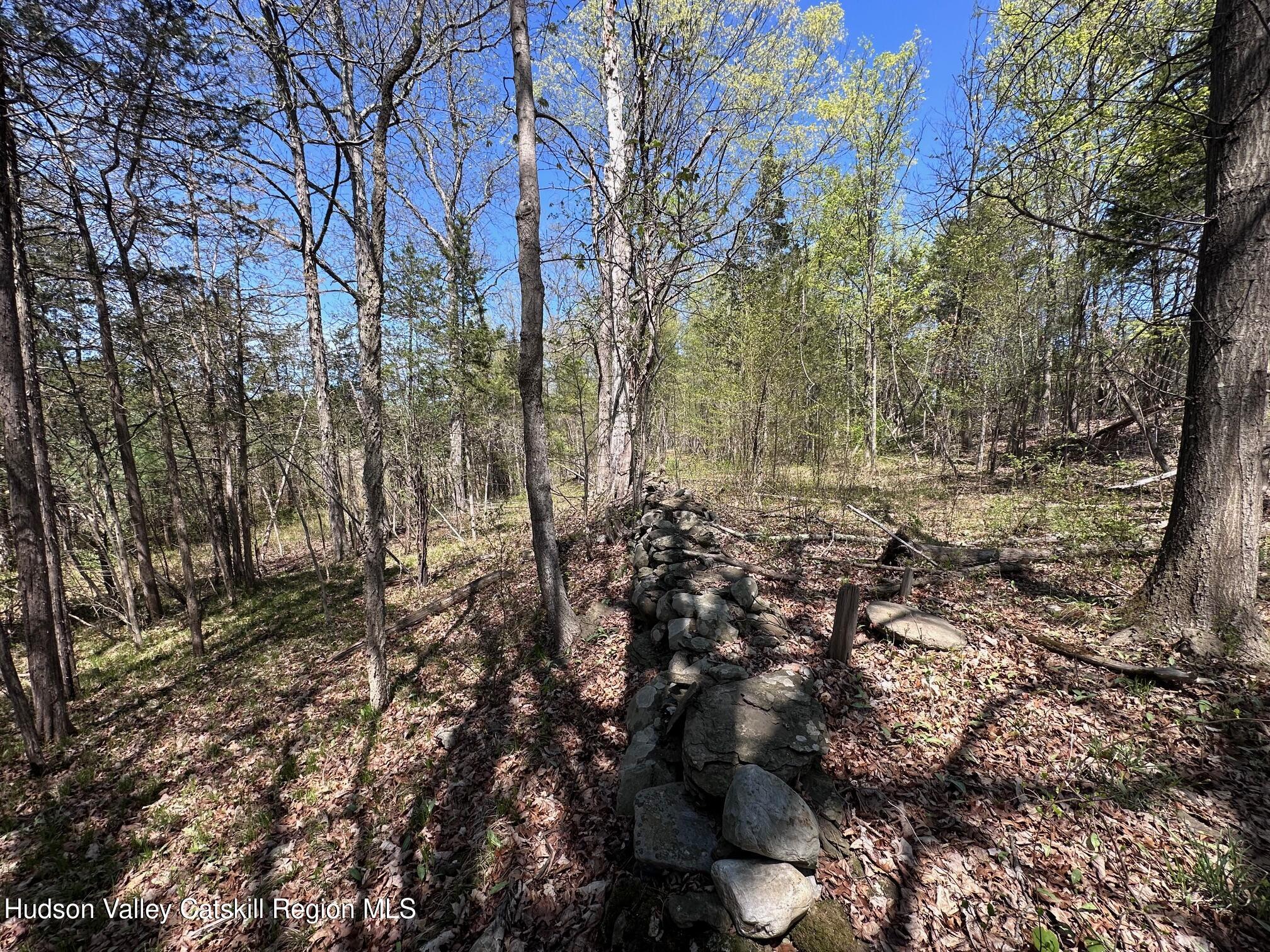 Tbd Peoples Rd, Saugerties, Texas image 1