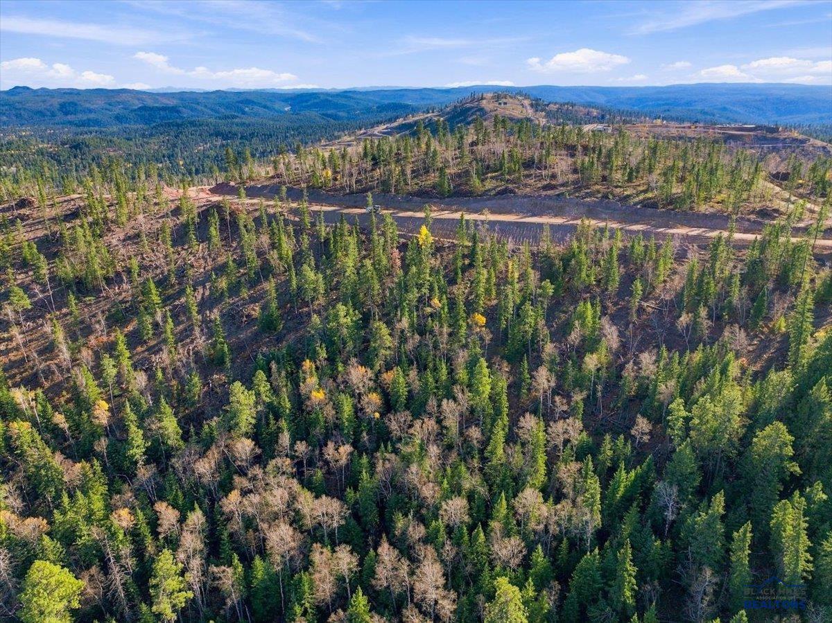 Lot 222 DEER MOUNTAIN