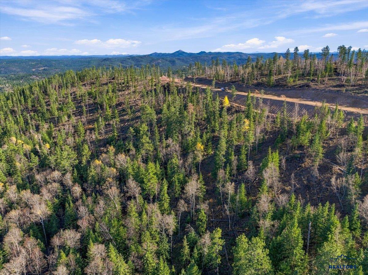 Lot 222 DEER MOUNTAIN