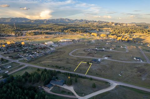 25 SIDNEY PARK RD Custer SD 57730