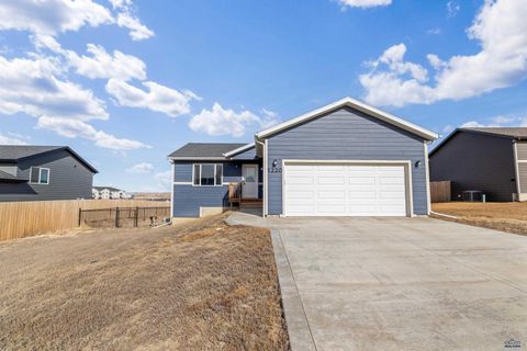 1220 KENAI DR Box elder SD 57719