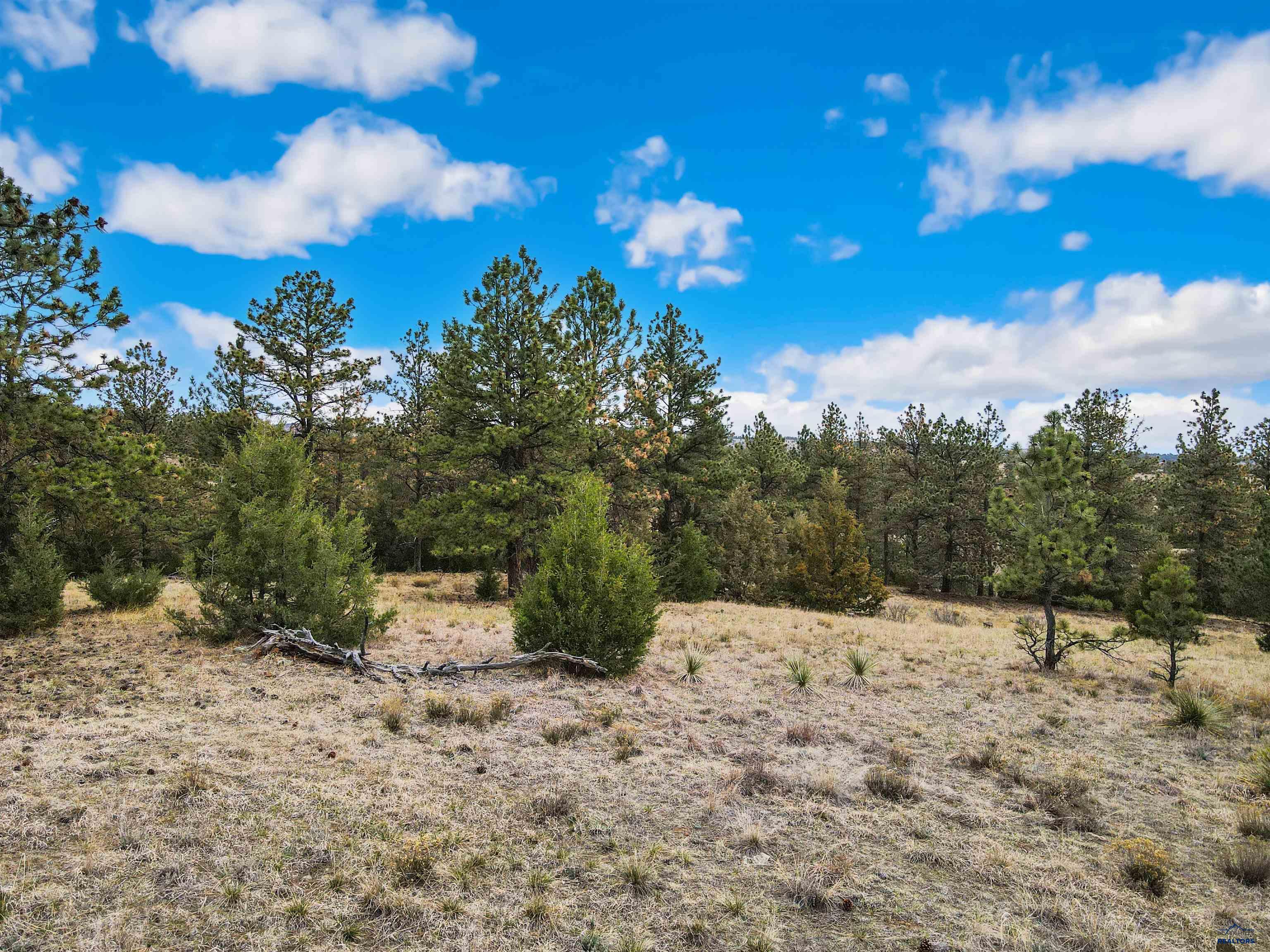Lot 5 LAKE HILLS RD