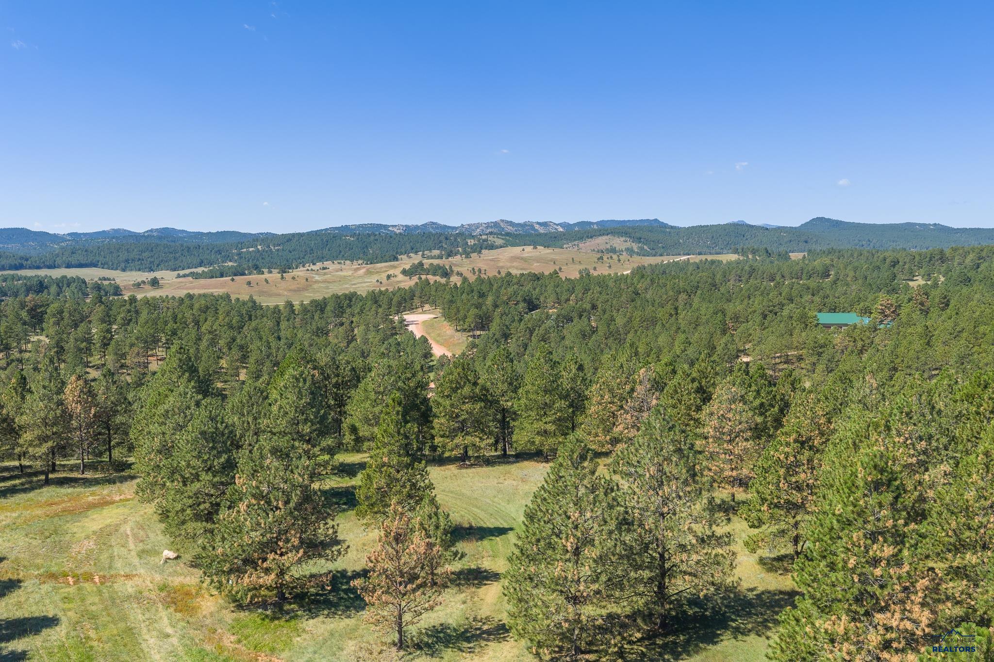 24707 TIMBER RIDGE RD