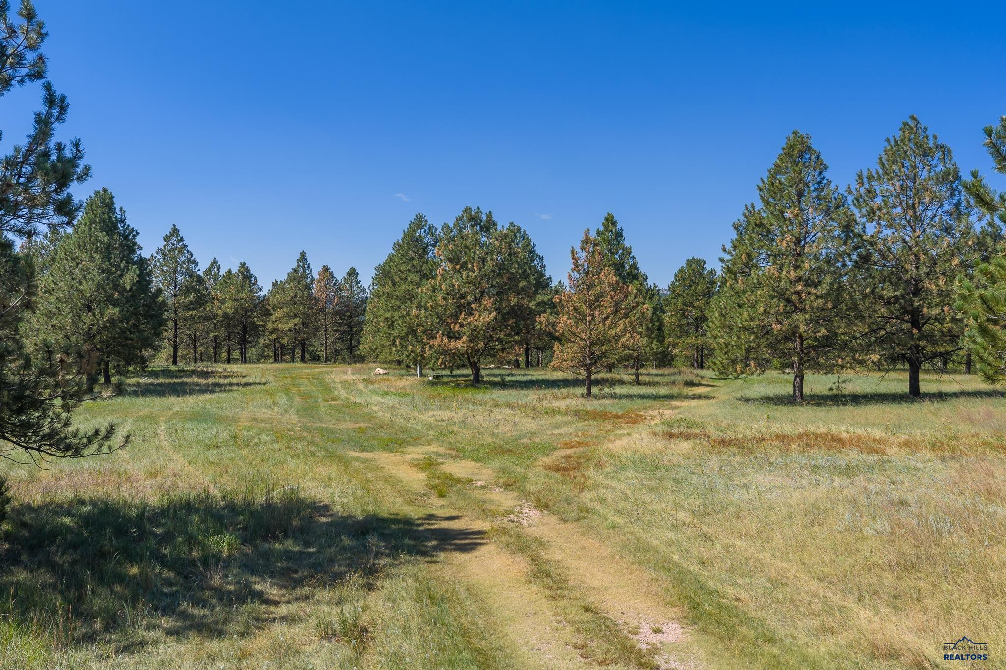 24707 TIMBER RIDGE RD