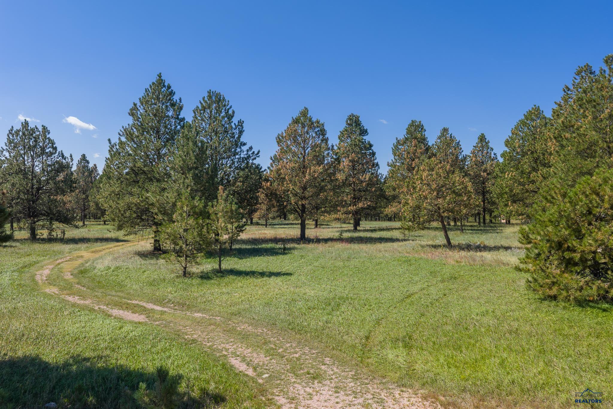 24707 TIMBER RIDGE RD