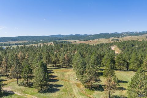 24707 TIMBER RIDGE RD Hermosa SD 57747