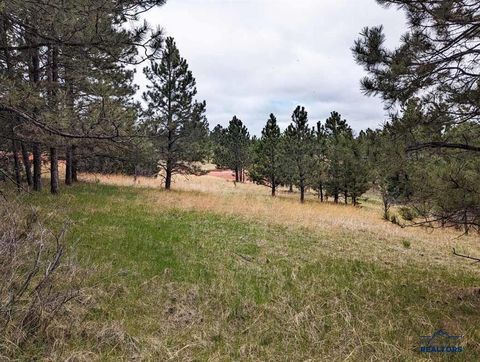 TBD Lot 5 ARGYLE RD Hot Springs SD 57747