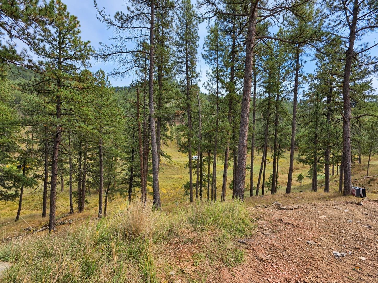 TBD PLACER PLACE CT