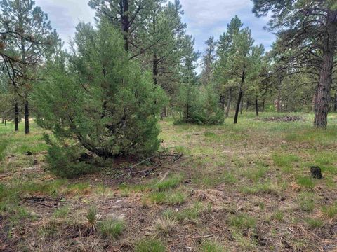 24653 OUTBACK TRAIL Hermosa SD 57744