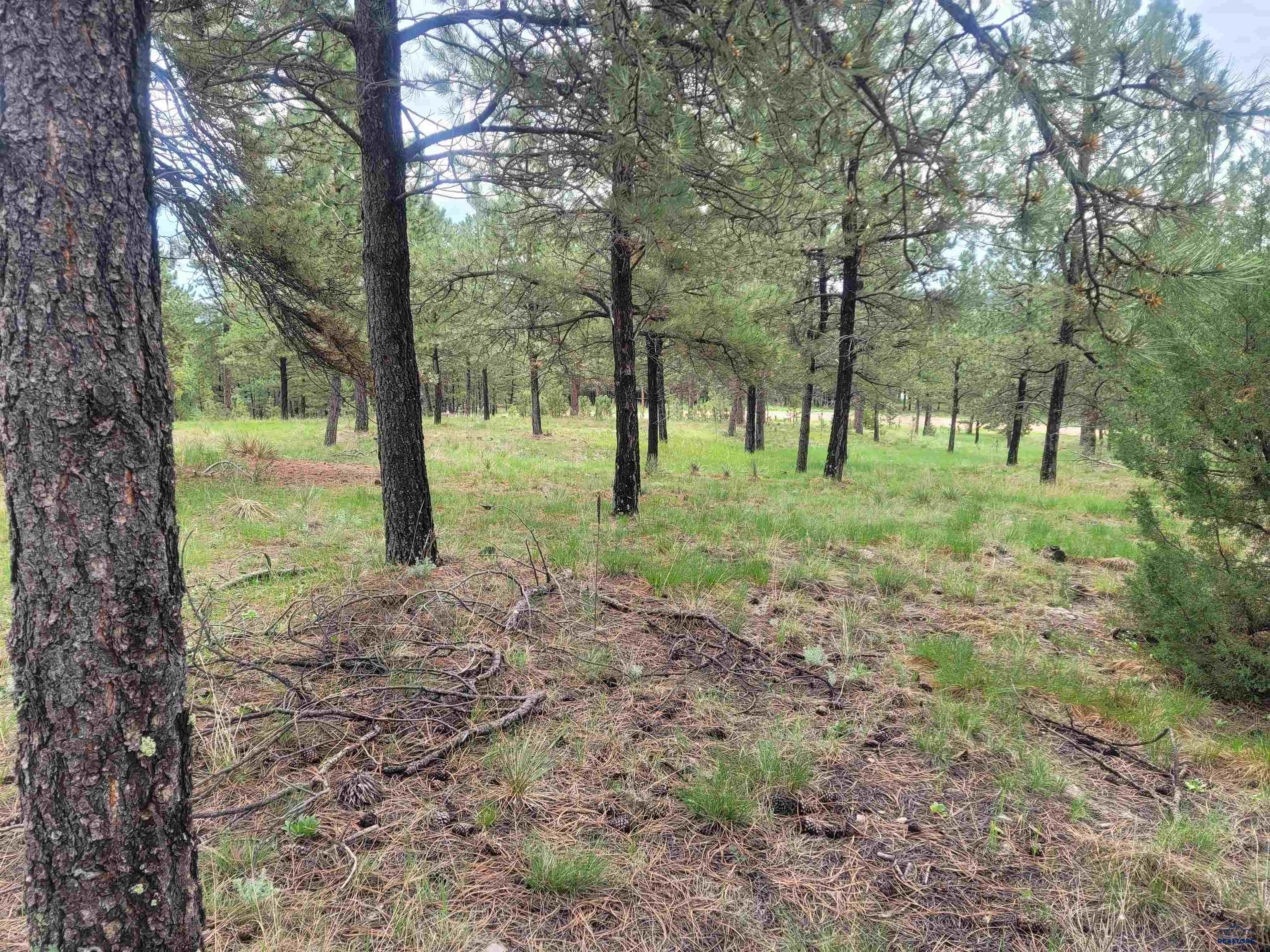 24653 OUTBACK TRAIL